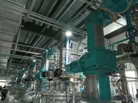 共軸草莓污污视频 